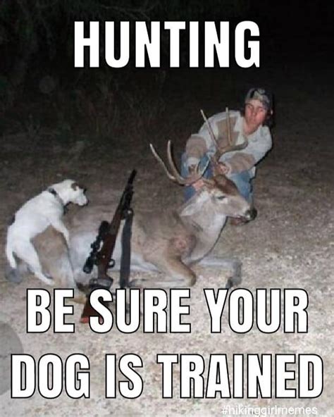 Funny Deer Hunting Quotes - ShortQuotes.cc