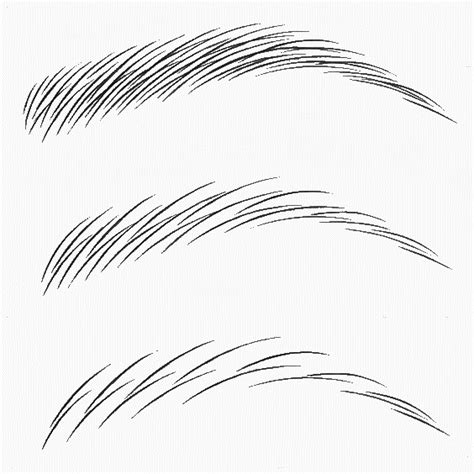 The best free Eyebrow drawing images. Download from 85 free drawings of Eyebrow at GetDrawings