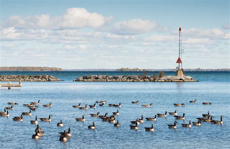 Visit Gander: 2021 Travel Guide for Gander, Newfoundland and Labrador | Expedia