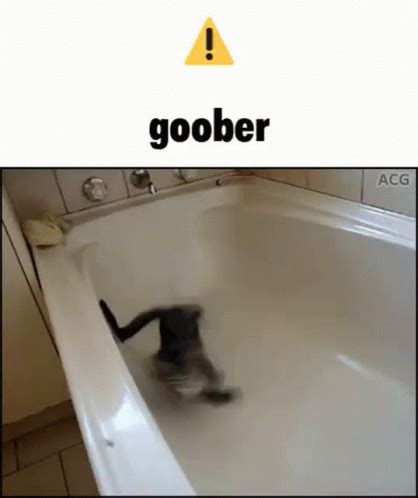 Goober Kitty GIF - Goober Kitty Crazy Cat - Discover & Share GIFs in 2023 | Goober, Crazy cats ...