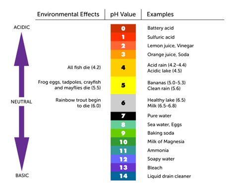 pH Scale - MissReyes8thgradeScience