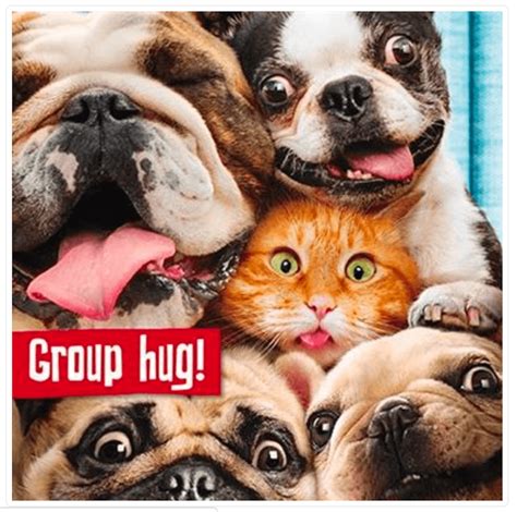 Group Hug Funny Cat & Dog 21st Birthday Card | PURRFECT CAT GIFTS