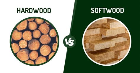 Hardwood vs Softwood : Unraveling the Core Differences