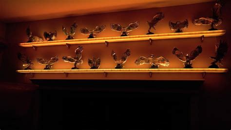 Acrylic LED Floating Shelf | Home Bar Shelves w/ LED Lighting