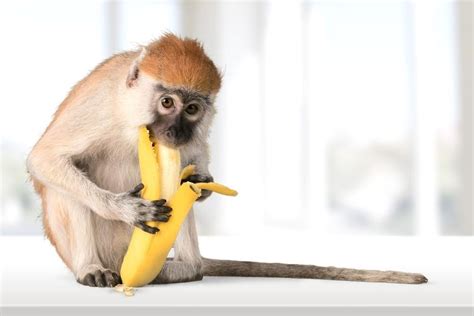 We’ve all been peeling bananas wrong this whole time