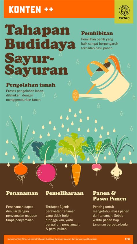 Contoh Tahapan Budidaya Tanaman Sayuran Dengan Sistem Hidroponik ...