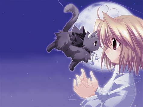 🔥 [40+] Cute Anime Cat Wallpapers | WallpaperSafari