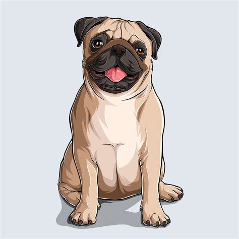 Cute beige Pug dog sitting 2363111 Vector Art at Vecteezy