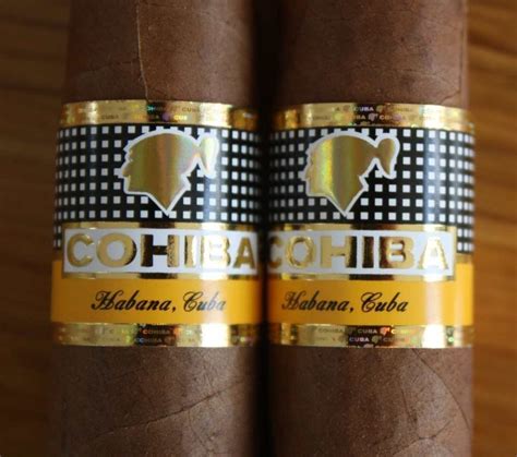 Cohiba Robustos (New Cohiba Bands) - Cuban Cigars From Cuban Cigar Online Genuine 100% Guaranted