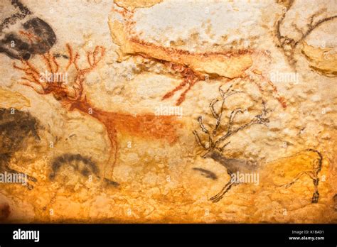 Prehistoric cave paintings of Red Deer stags, Cervus elaphus, Lascaux IV caves, Perigord ...