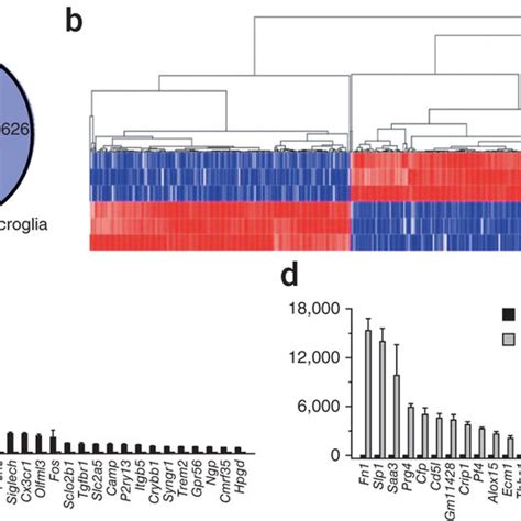 RNAscope dual fluorescence in situ hybridization. Dual RNAscope was... | Download Scientific Diagram