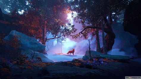 Fox Forest 4K wallpaper download