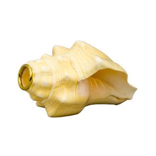 Conch Shell Horn | Sound Effects, Bird Calls | Accessories | Steve ...