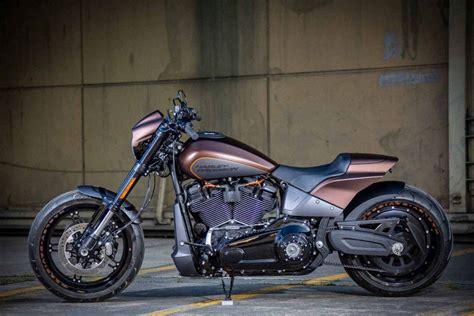 Harley Davidson FXDR 114 Custom bike by Rick's motorcycles