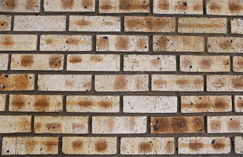 Facebrick Wall - Step 04 stock photo. Image of brickwork - 6833394