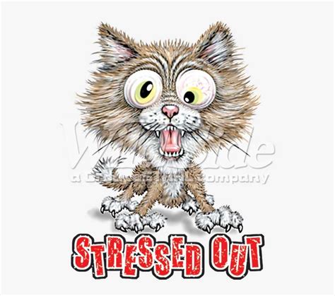 Stock Transfer - Stressed Out Cat PNG Image | Transparent PNG Free Download on SeekPNG