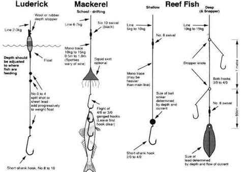 Luderick, Mackerel and reef fishing rigs. | Fishing tips, Fishing rigs ...