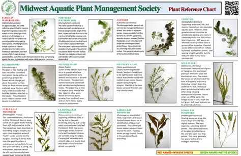 Plant ID Chart - MAPMS