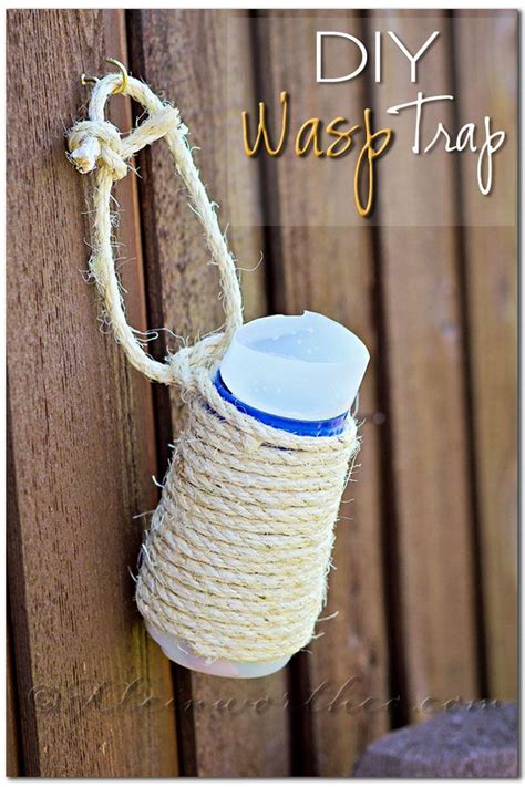 DIY Wasp Traps & Solutions for the Backyard • The Garden Glove