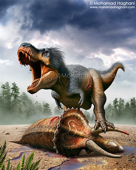 Tyrannosaurus rex Vs Triceratops by haghani on DeviantArt