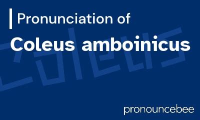 How To Pronounce Coleus amboinicus - Correct pronunciation of Coleus amboinicus