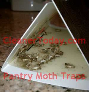 Finally I am in control of the pantry moths.