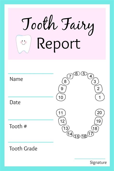 10 Stylish Tooth Fairy Ideas For Boys 2024