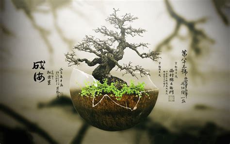 Bonsai Tree Wallpapers - Wallpaper Cave