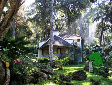 The Tall Trees,Munnar:Photos,Reviews,Deals