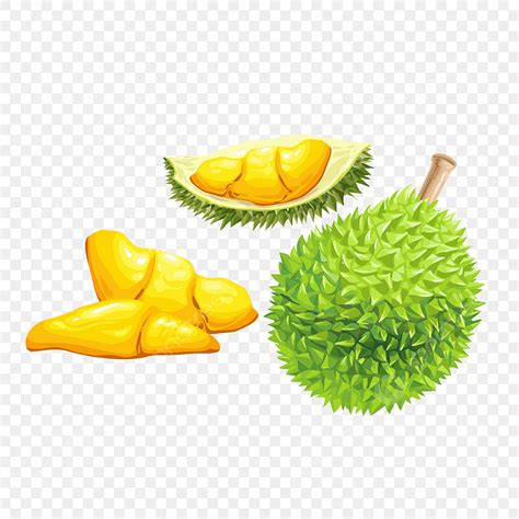 Durian Fruit Vector Hd PNG Images, Durian Cartoon Cartoon Durian King ...