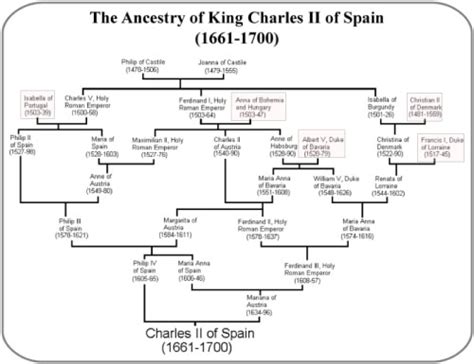 Inbreeding of Spanish Royalty