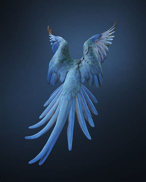 SPIX'S MACAW - OXFORD iS