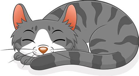 Cat Sleeping Clip Art, Vector Images & Illustrations - iStock