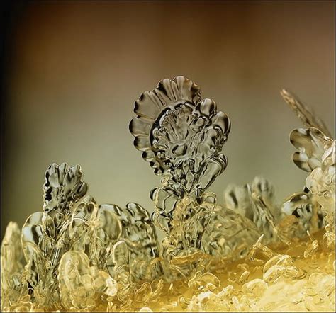 Incredible Snowflake Macro Photography BY Andrew Osokin - Design Swan