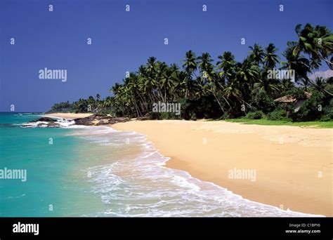 Sri Lanka, Ambalangoda Stock Photo - Alamy