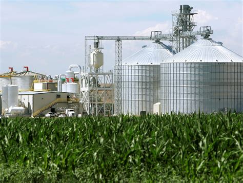 U.S. corn-based ethanol worse for the climate than gasoline, study finds | Reuters