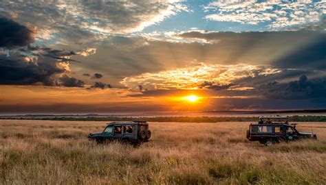 horizon, Sky, Safari, Africa, Sunset Wallpapers HD / Desktop and Mobile Backgrounds