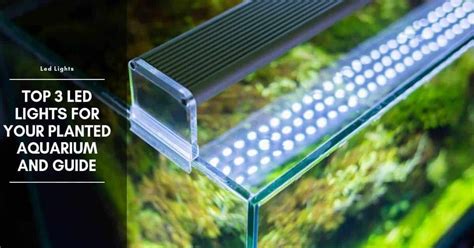 Aquaponics fish tank led lights | Kile