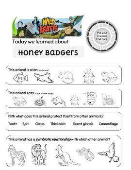 Wild Kratts Honey Badger Worksheet by BKS Prep Resources | TpT