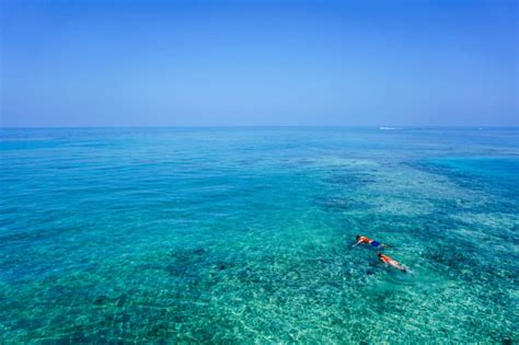 Best Snorkeling Along the Kauai Island Coast