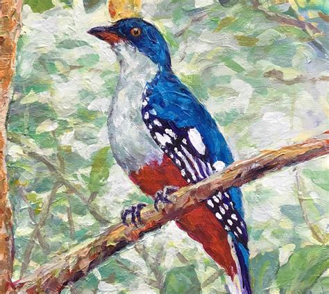 Nature's Beauty Trogon Bird Tocororo Bird Portrait - Etsy