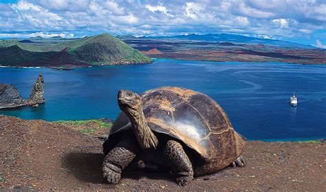 Galapagos Island - Ecuador