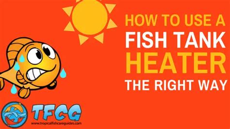 How To Use A Fish Tank Heater - Install, Set Up & Regulate Your Heater