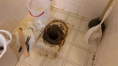 plumbing - What can I do about a toilet drain pipe that is too high above the floor? - Home ...