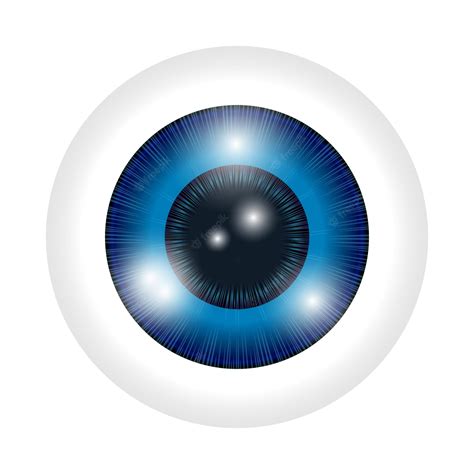 Premium Vector | Vector blue human eye macro over white