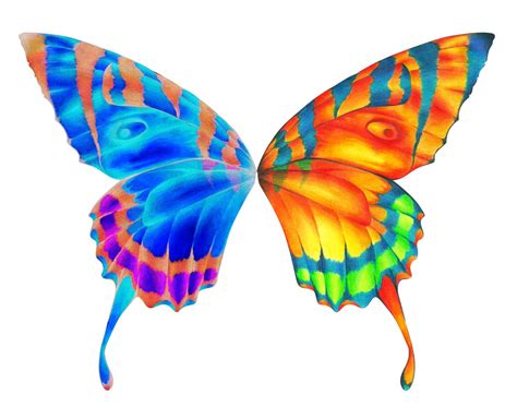 Butterfly Wings Pattern - ClipArt Best