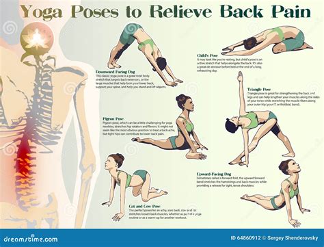 Yoga Poses To Relieve Back Pain Stock Vector - Image: 64860912