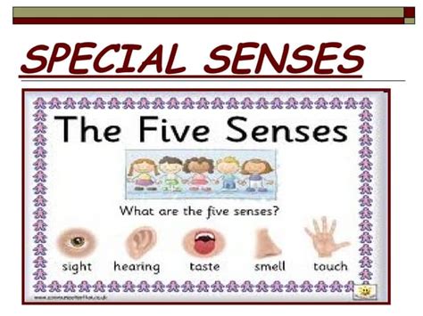 SPECIAL SENSES | PPT