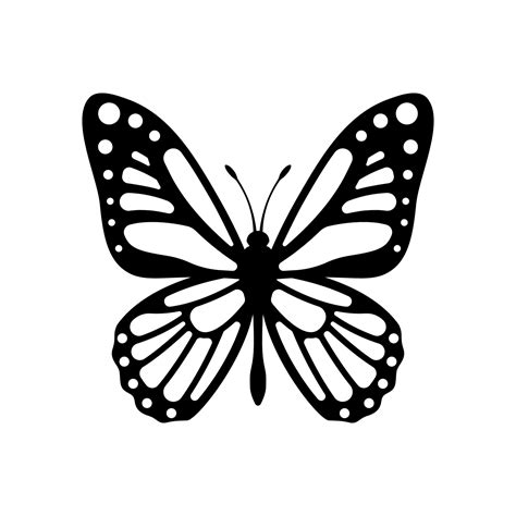 Butterfly vector isolated on white background 23810364 Vector Art at Vecteezy