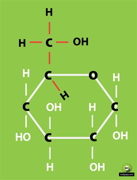 3 Simple Steps - Draw the ring structure of glucose molecule